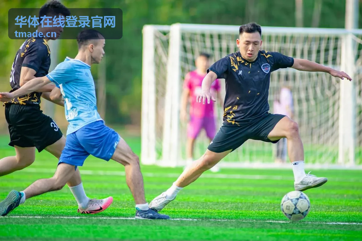 华体在线登录官网多端登录入口服务封面